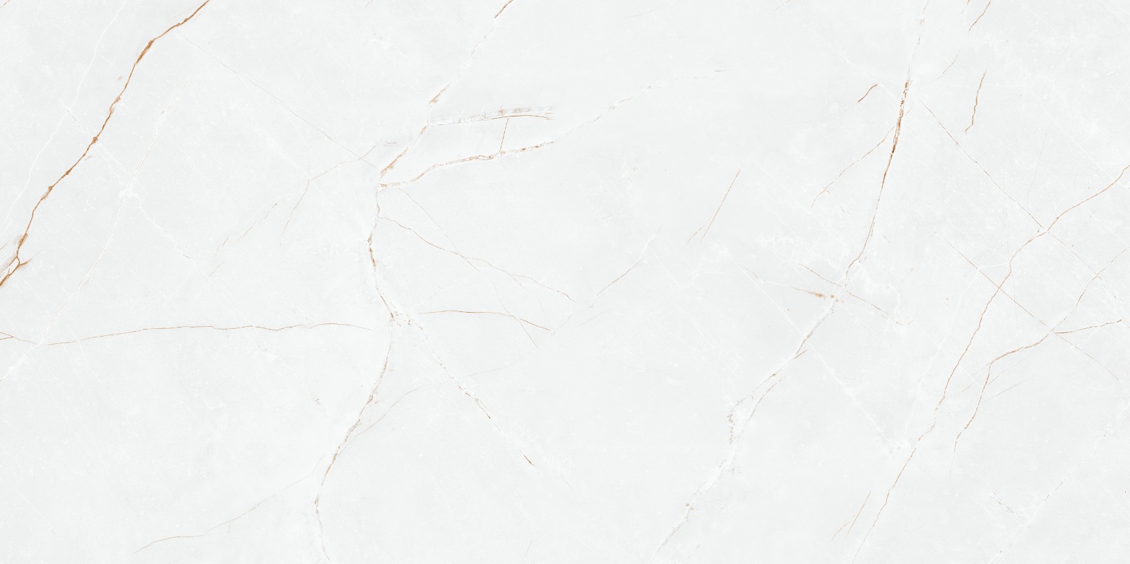 P8AA0LNAA0H1SO На пол Anil White Polished Rect 60х120