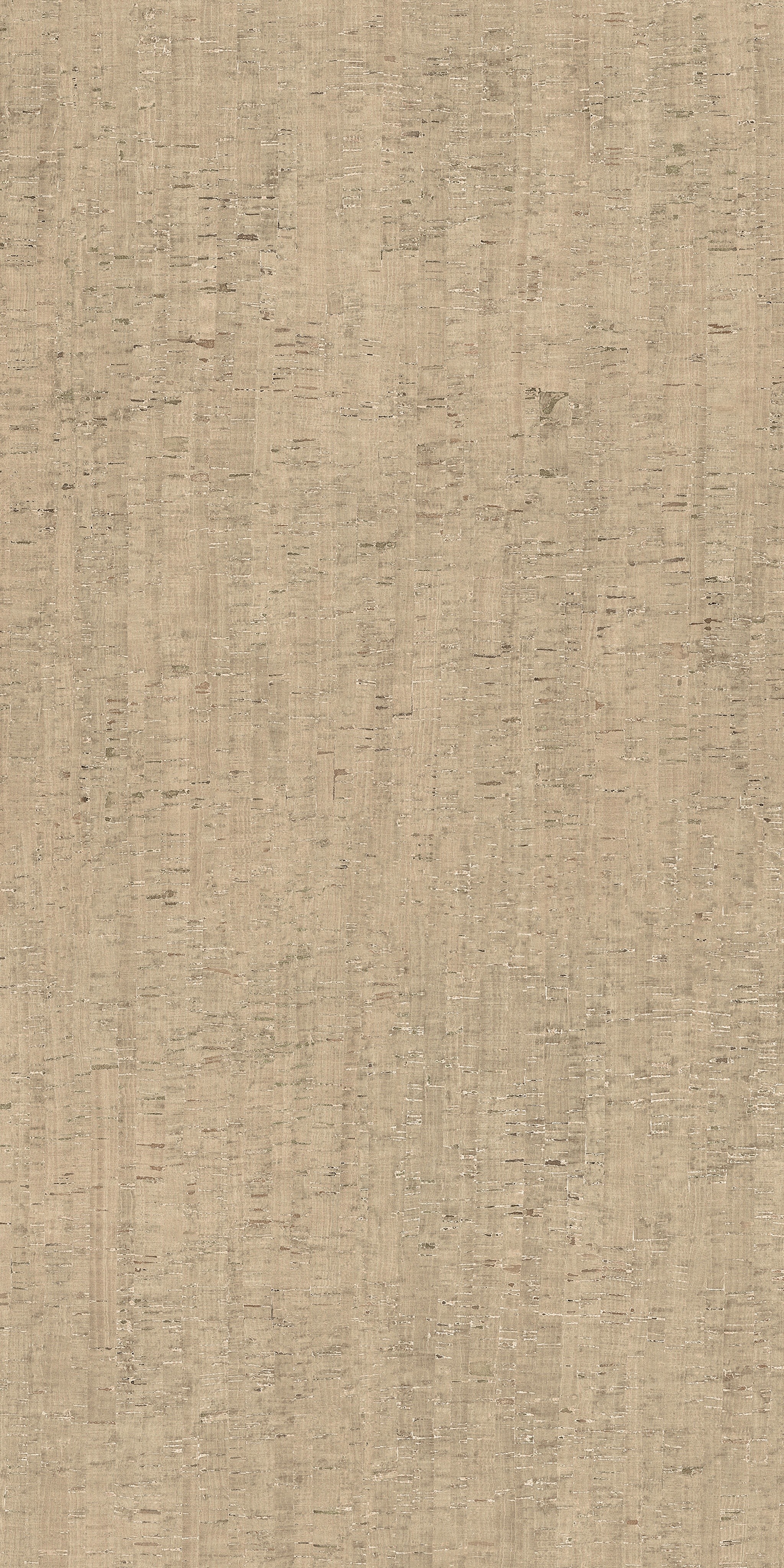 785600 На пол Rinascenza Modulo Conchiglia Matte 6mm 120x240