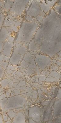 52103 На стену Reflection Gold 60x120