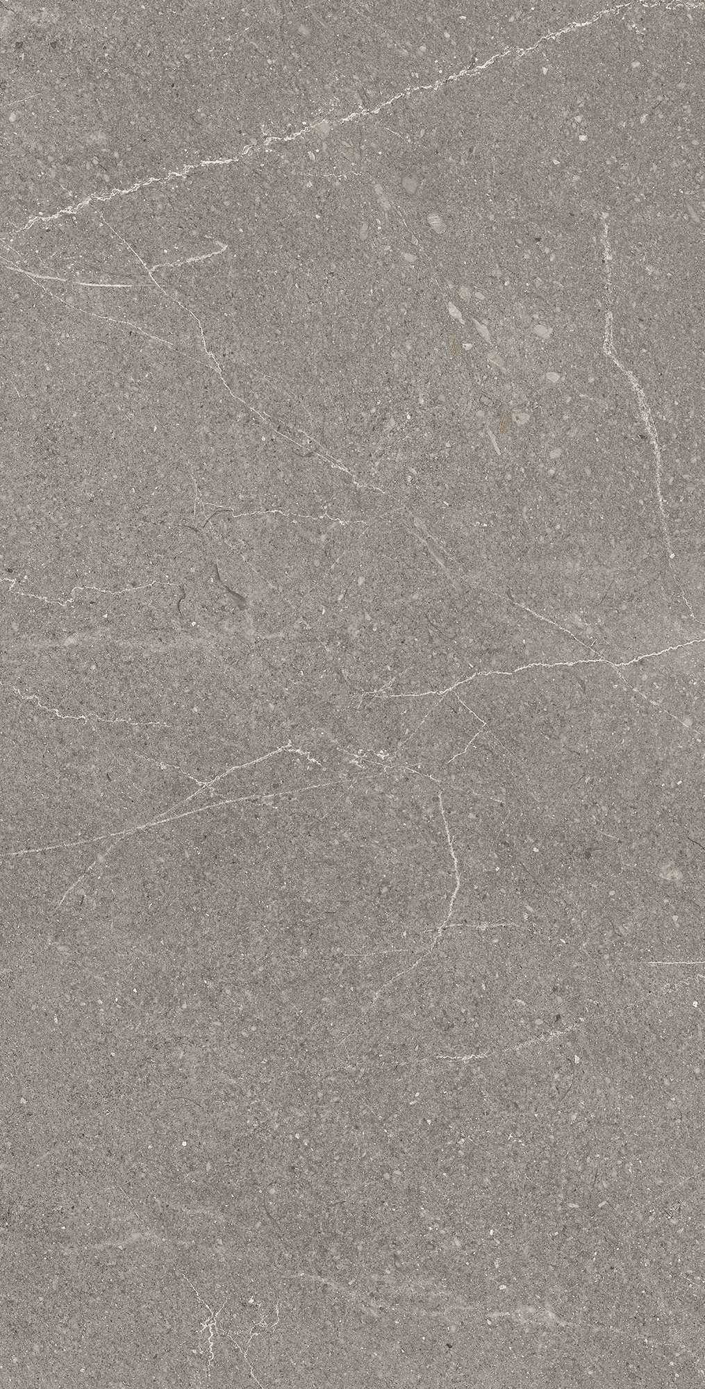 RG6002-A На пол Equistone Graphite Rotto Glossy Ink 60x120 - фото 2