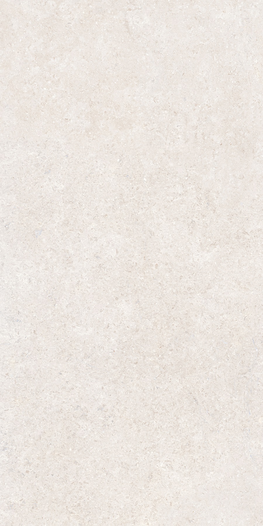 K948597R0001VTER На пол SandStone Белый Матовый R10A Ректификат 60х120