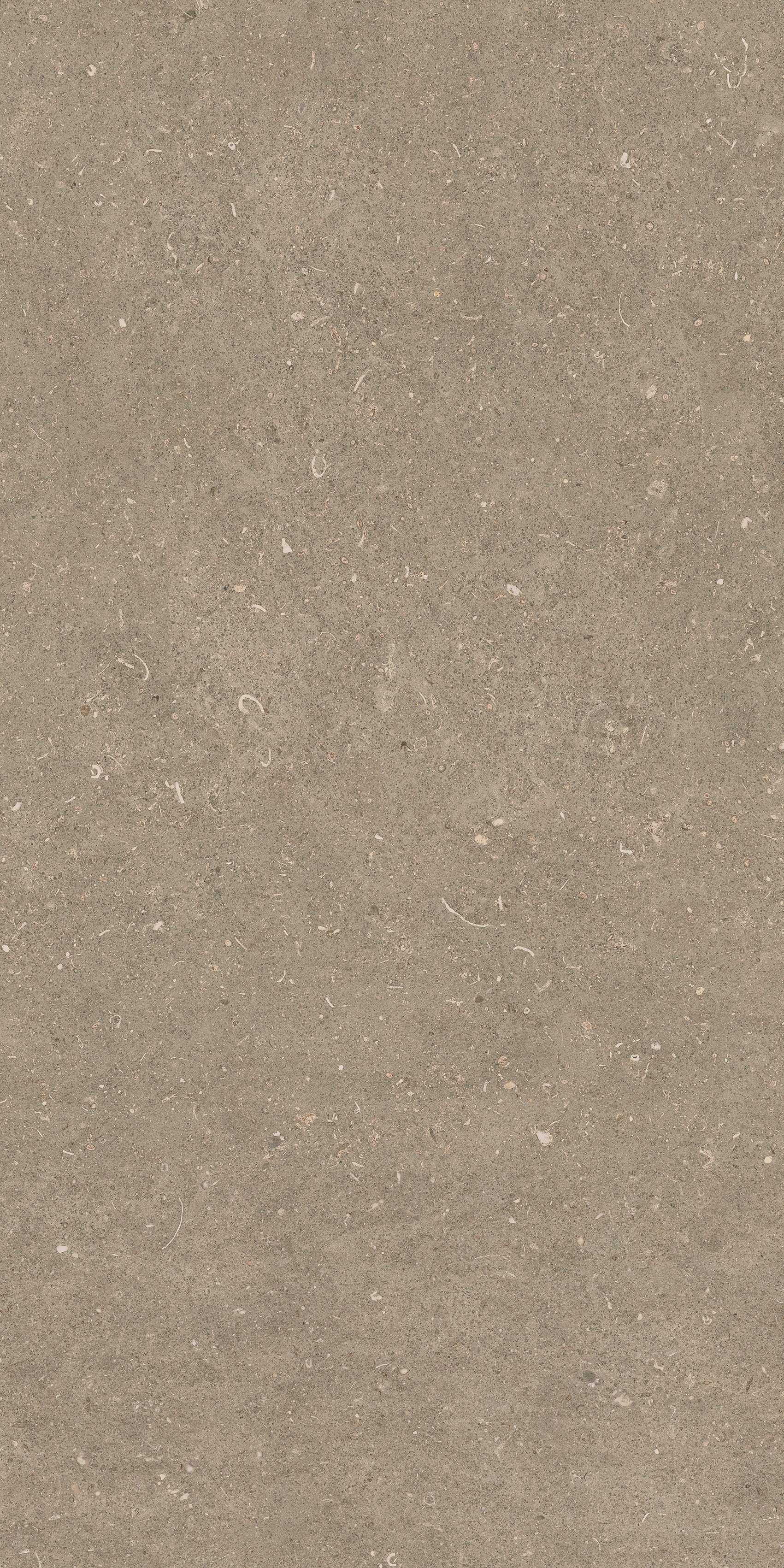 785494 На пол Rinascenza Arena Pietra Grip 60x120 - фото 5