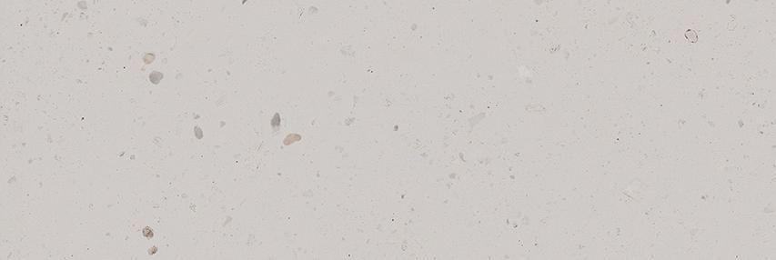 KM3090B0271R На стену Тараскон Серый светлый матовый обрезной 30x89.5x0.9 - фото 4