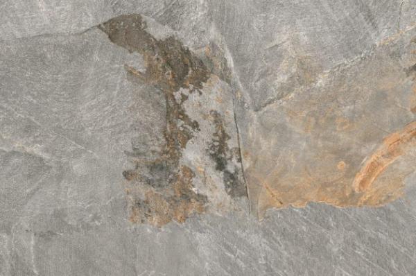 На пол Ardesia Grey 60х90 - фото 2