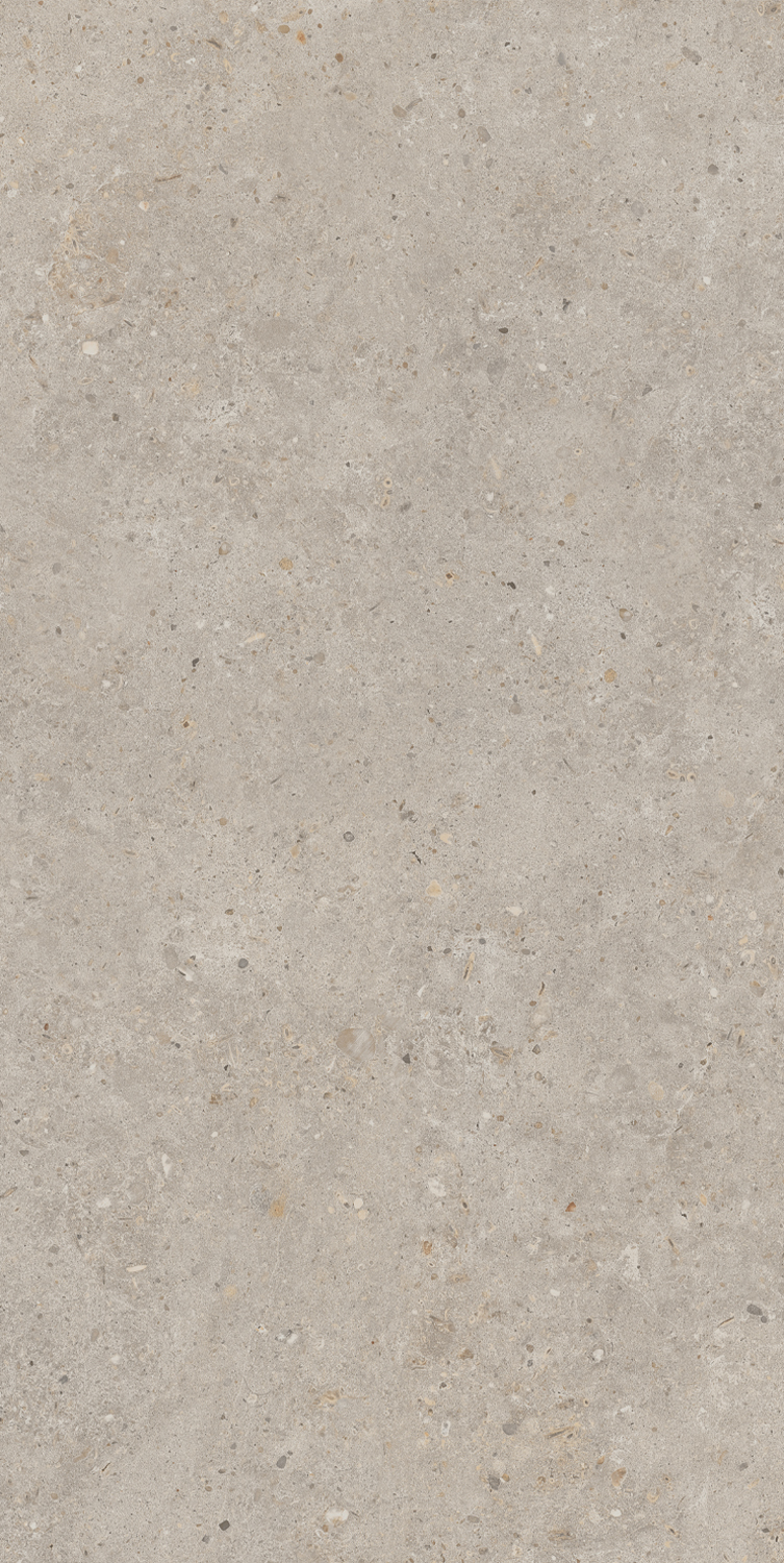 SG540620R На пол Риккарди Бежевый Матовый Обрезной 60x119.5 - фото 2