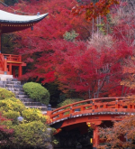 Керама Марации Японская коллекция