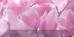 br1020D297-2 Бордюр Magnolia Лиловый рельефный 2