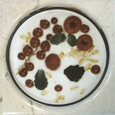 Декор Pompeya Decor 3 Bayas 20x20