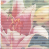 Декор Весеннее шоу Розовый 20*20 20x20