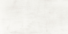 TWU09PLO024 Плитка Poleo Белая 50x24.9