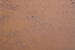 Плитка Goldline 1630 853 25x25