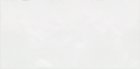 TWU09MNR030 Плитка Brenta Monocolor 24.9x50