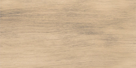 NRL_P0015 Плитка Naomi Wood Brown 60x30