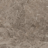 610015000561 Керамогранит Victory Taupe Lap 60x60