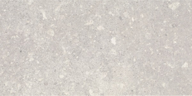 Плитка Aragorn Light Grys