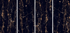 Керамогранит Portoro Gold High gloss 60x120