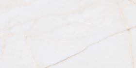 52734 Керамогранит Essenza PW R 120x60