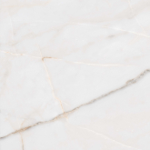 52735 Керамогранит Essenza PW R 80 80x80