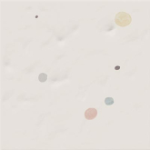 Декор Paola Ariel B 20x20