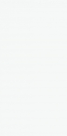 NRA_P0042 Плитка Lili Wings 30x60