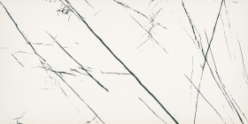 BIEN0009 Керамогранит Agatha White Rec Full Lap 120 120x60