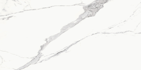 BIEN0050 Керамогранит Statuario Goya Rec Full Lap Nano 120x60