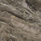 756385 Керамогранит Prexious Dream Arabesque Matte Ret 6mm 120x120