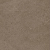 Керамогранит Elegance Via Farini Silk 100x100