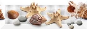 TD442_D1 Декор Дары моря Ракушки 30x10