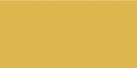 GAAD8142 Плитка Color Two Темно-желтый Ral 0858070 10x20
