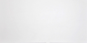 G-100/MR/300x600x10 Керамогранит Domino Белый Матовый ректифицированный 30x60