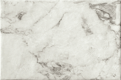 1063345 Керамогранит Magistra Paonazzetto 40х60.8