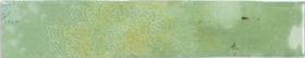 123146 Плитка Enamel Moss 25x5