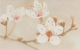 010301001873 Декор Сакура Коричневый 02 40x25