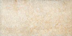 Керамогранит Финикс Бежевый 3 60x30