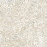 СП282 Керамогранит Dynasty WHITE 20*20 20x20