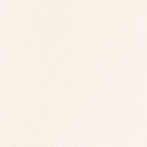 PP-01-156-0598-0598-1-016 Керамогранит All in white P-White