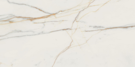 Керамогранит Marmo D Oro POL 119.8x59.8