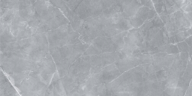 С0004543 Керамогранит Silk Gilio Matt 120x60