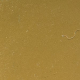 Мозаика Gold GR 01G 1x1 31.8x31.8