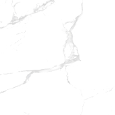 00-00000289 Керамогранит Silver White Полированный 60x60