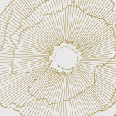 Керамогранит Art-Deco White Spritz Natural R10 29.75x29.75 29.75x29.75