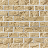 Искусственный камень Версаль Плоскость 050 19,8x9,9x1,5