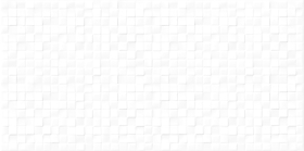 WT9NPL00 Плитка Napoli Light Глянцевая 50x24.9