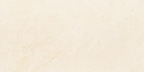Плитка Plain Stone Matt 59.8x29.8