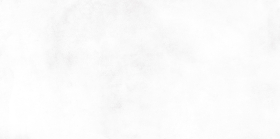 WT9KON00 Плитка Konor White 24.9x50