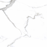 PR107 Керамогранит Salvatore Polished 600x600