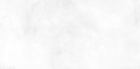 TWU09RCD000 Плитка Richard Белая 24.9x50