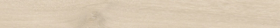 Керамогранит Elixir ALMOND 49x5
