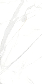 P15006.6 Керамогранит Royal Marble White Plsh Rc.Por.Tl Глазурованный 120x60